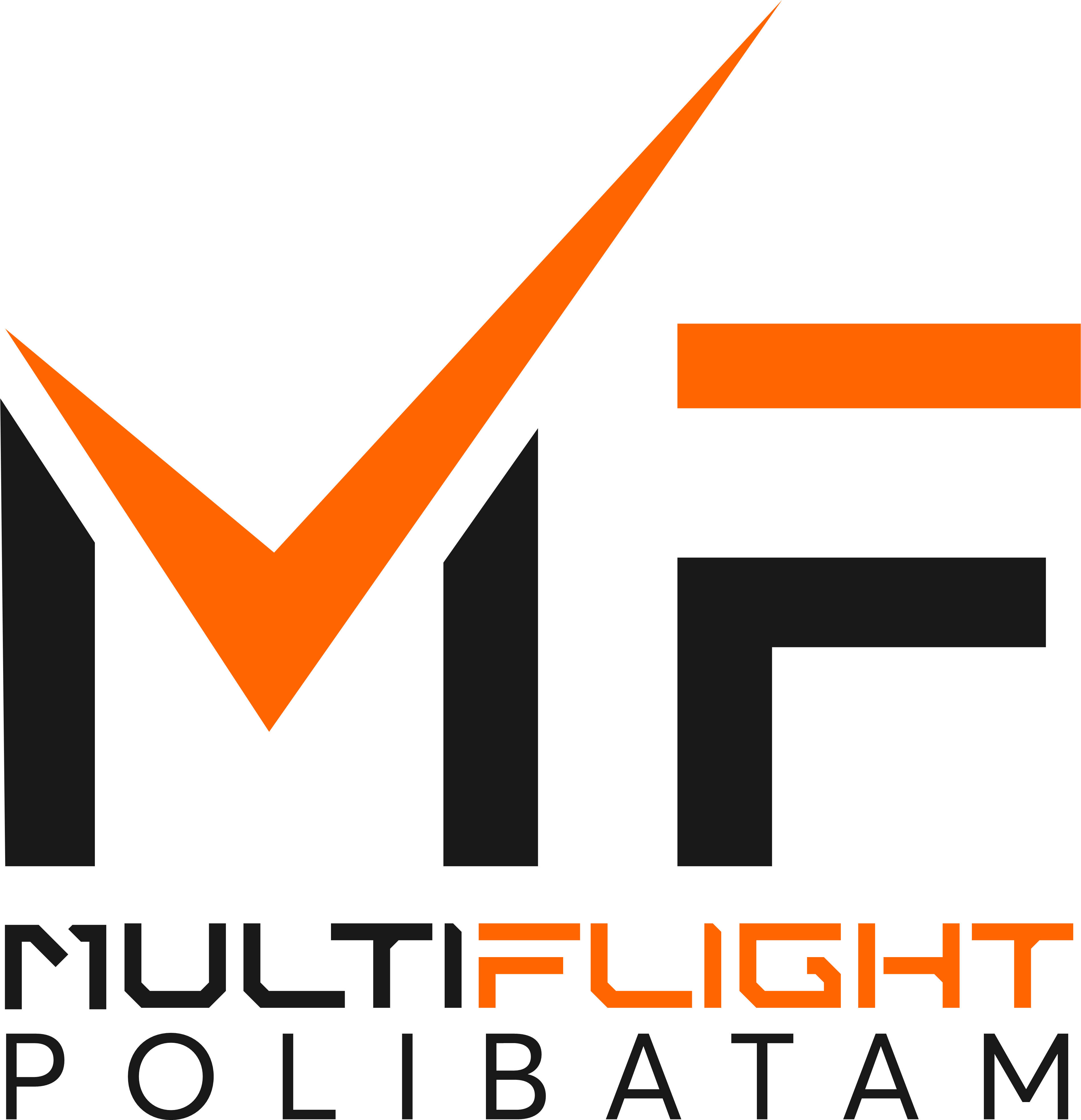 Tim Logo