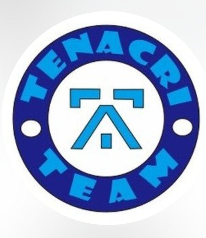 Logo Tim TENACRI TEAM