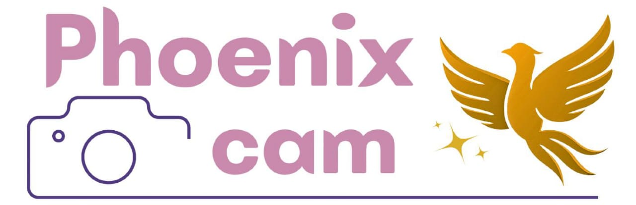 Logo Tim Phoenixcam